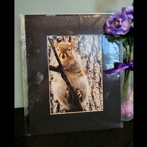 Eastern Gray Squirrel Photography Print with Black Matte Frame - 8x10